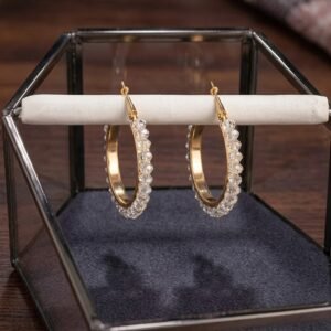 Clear Crystal Golden Hoop Earrings